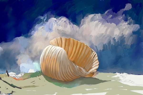 Creation of shell in the sand: Step 3